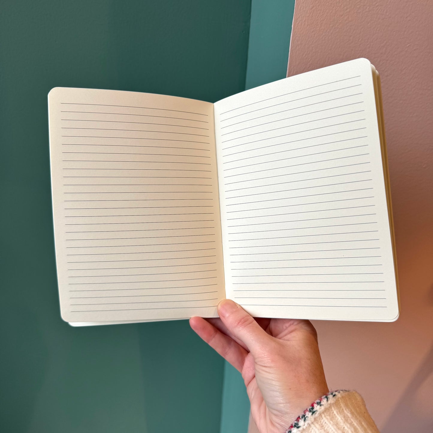 Don't Be Shellfish Journal Notebook