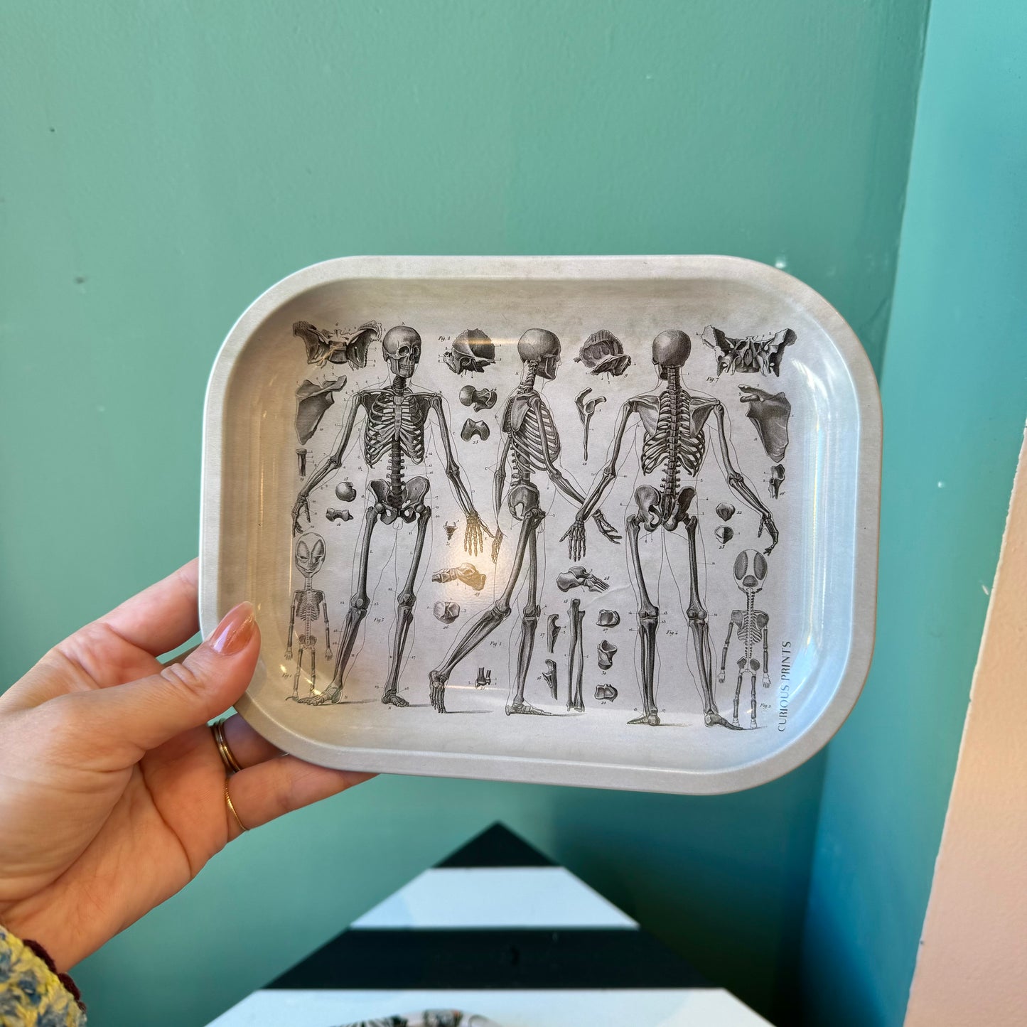 Metal Skeleton Diagram Trinket Tray