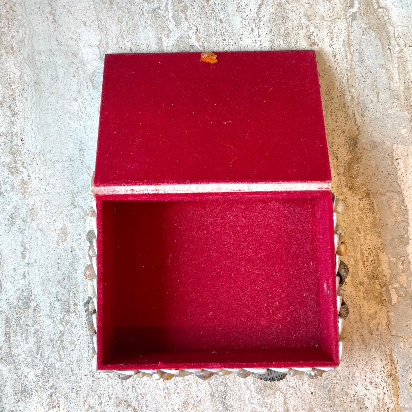 Vintage Shell Box