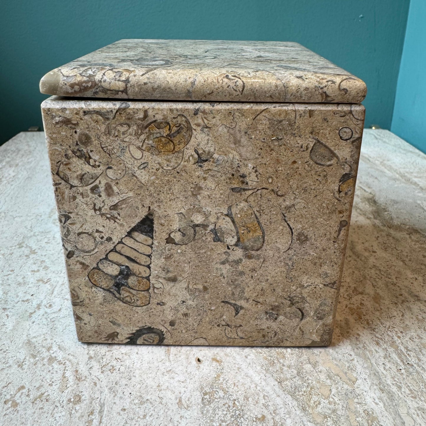 Vintage Fossil Stone Storage Box