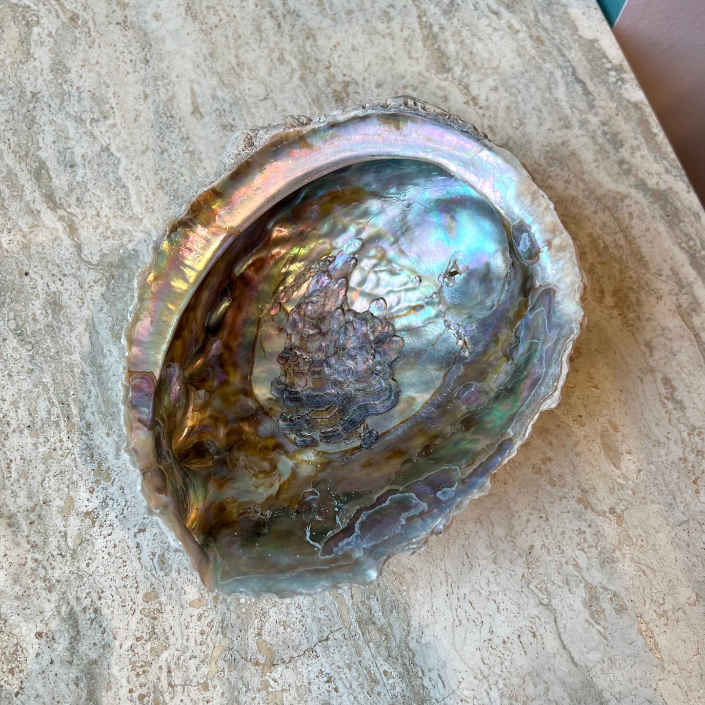 Vintage Abalone Shell Bowl/medium