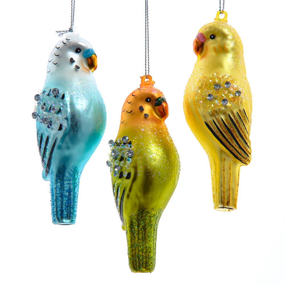 Parakeet Glass Ornament