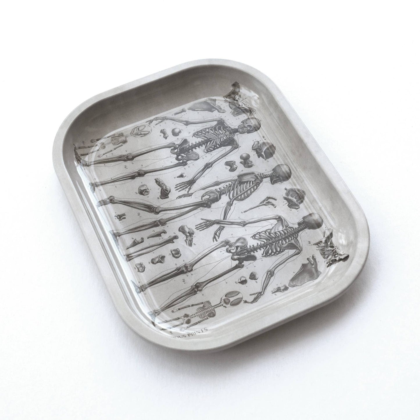 Metal Skeleton Diagram Trinket Tray