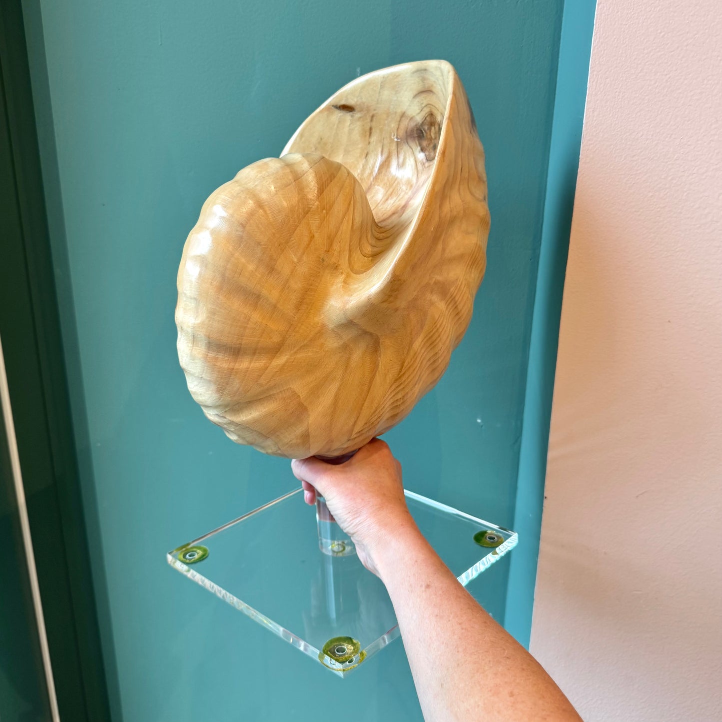 Vintage Carved Wooden Nautilus Shell on Lucite Stand