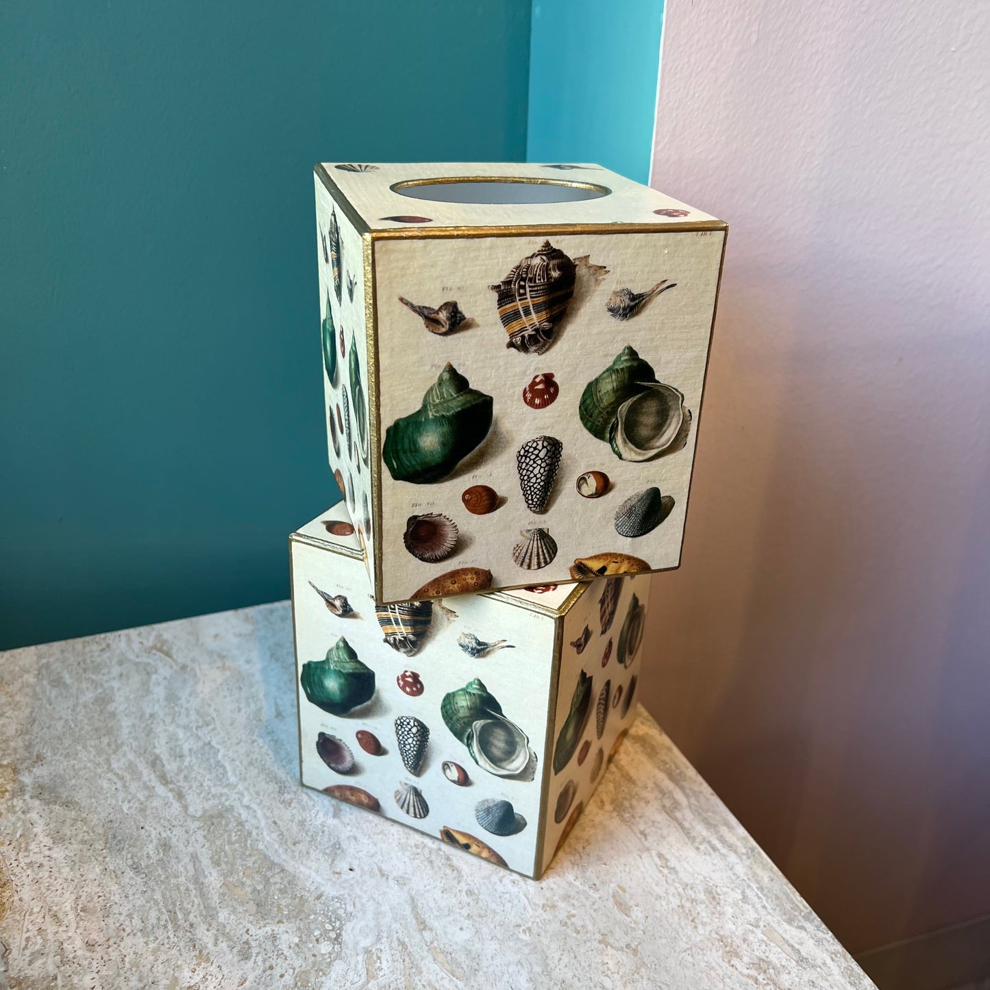 Shells on Cream Tissue Box Cover