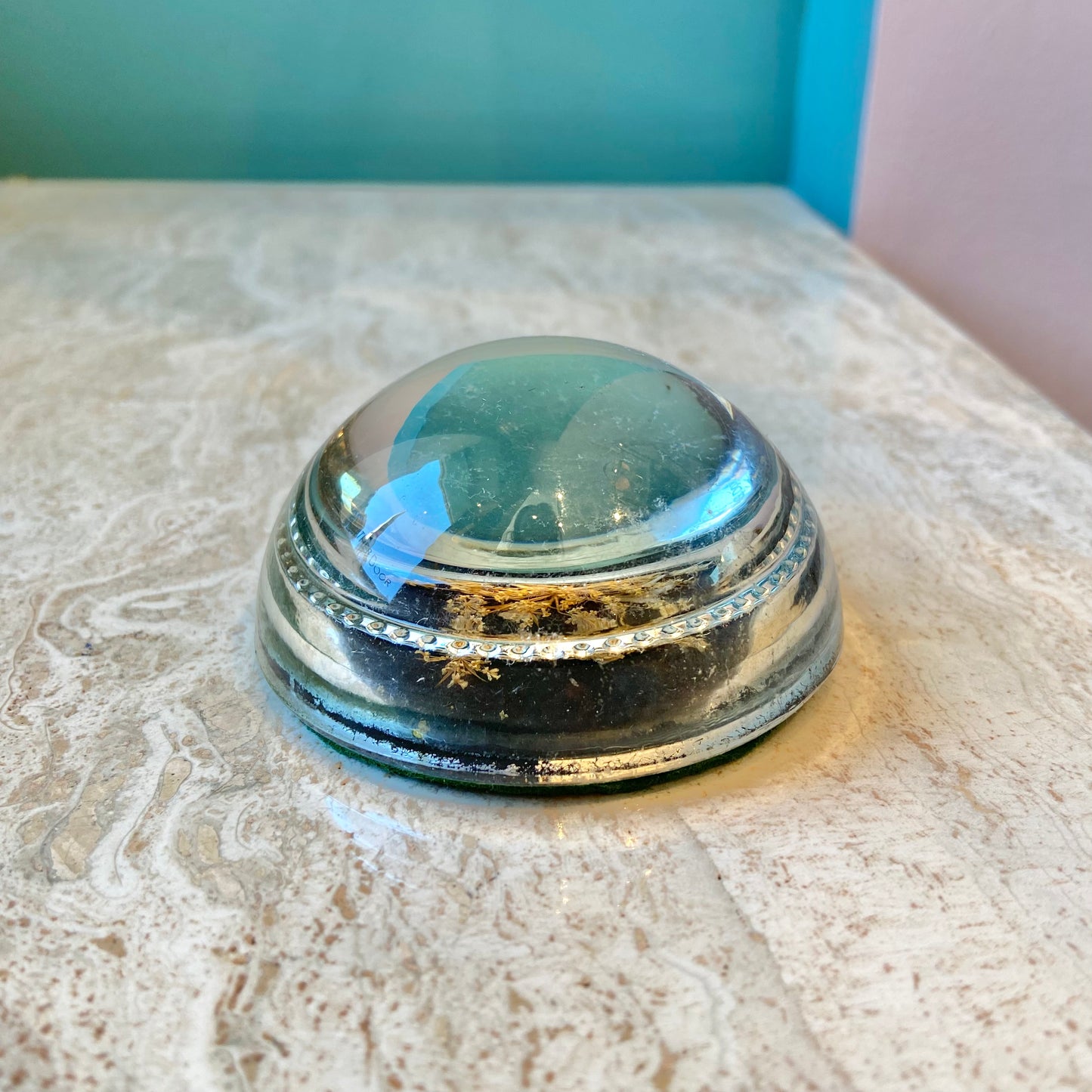 Vintage Dried Flower Magnified Glass Dome Paperweight