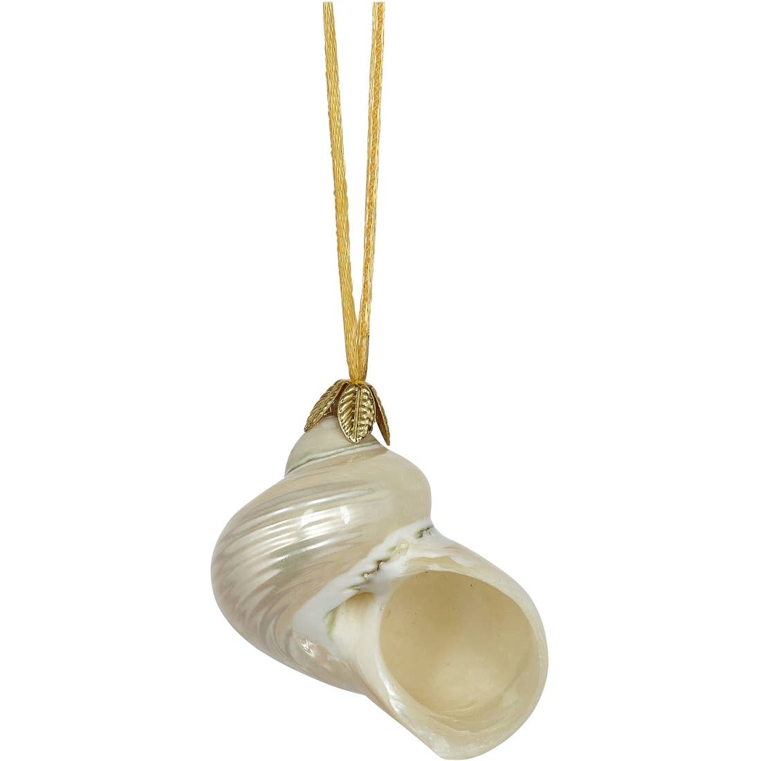 Medium Authentic Shell Ornament