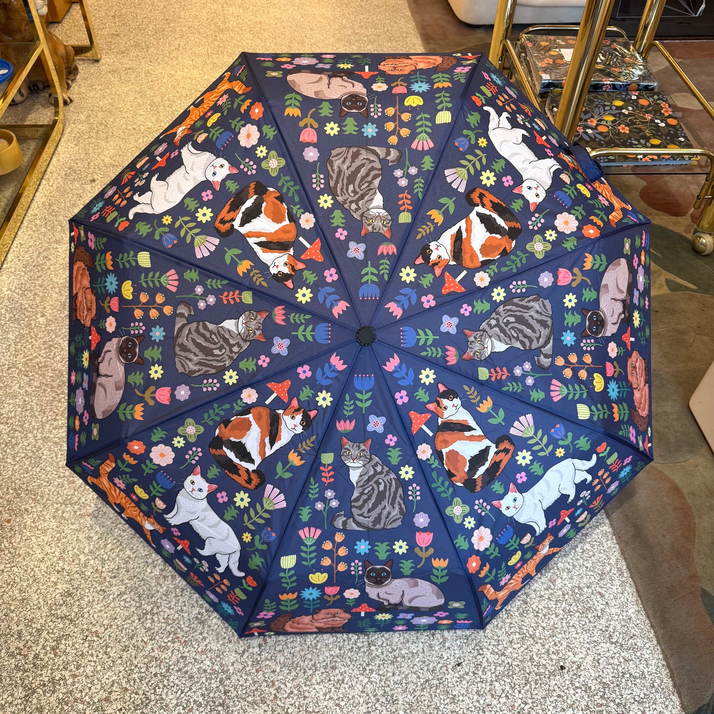 Spring Kitty Cats Umbrella