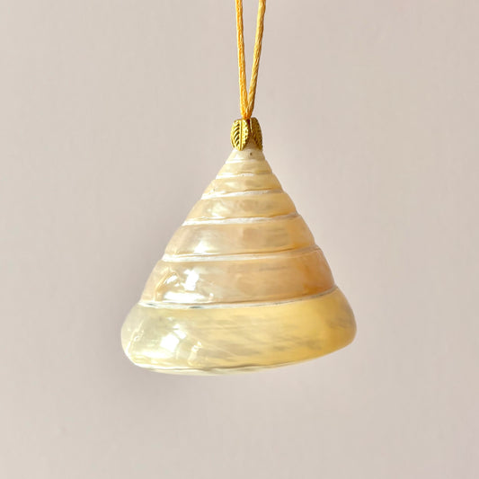 Large Authentic Trochus Shell Ornament