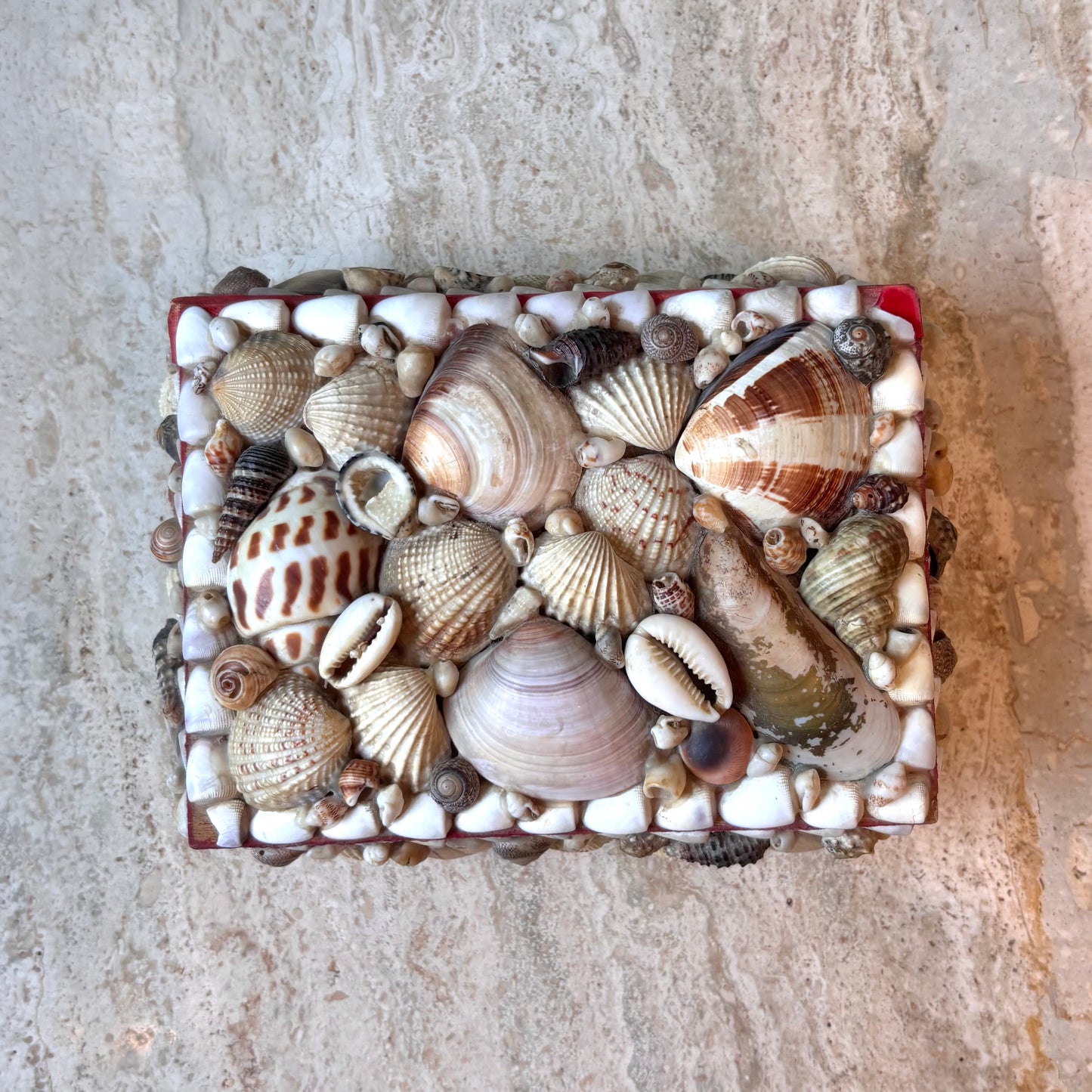 Vintage Shell Box