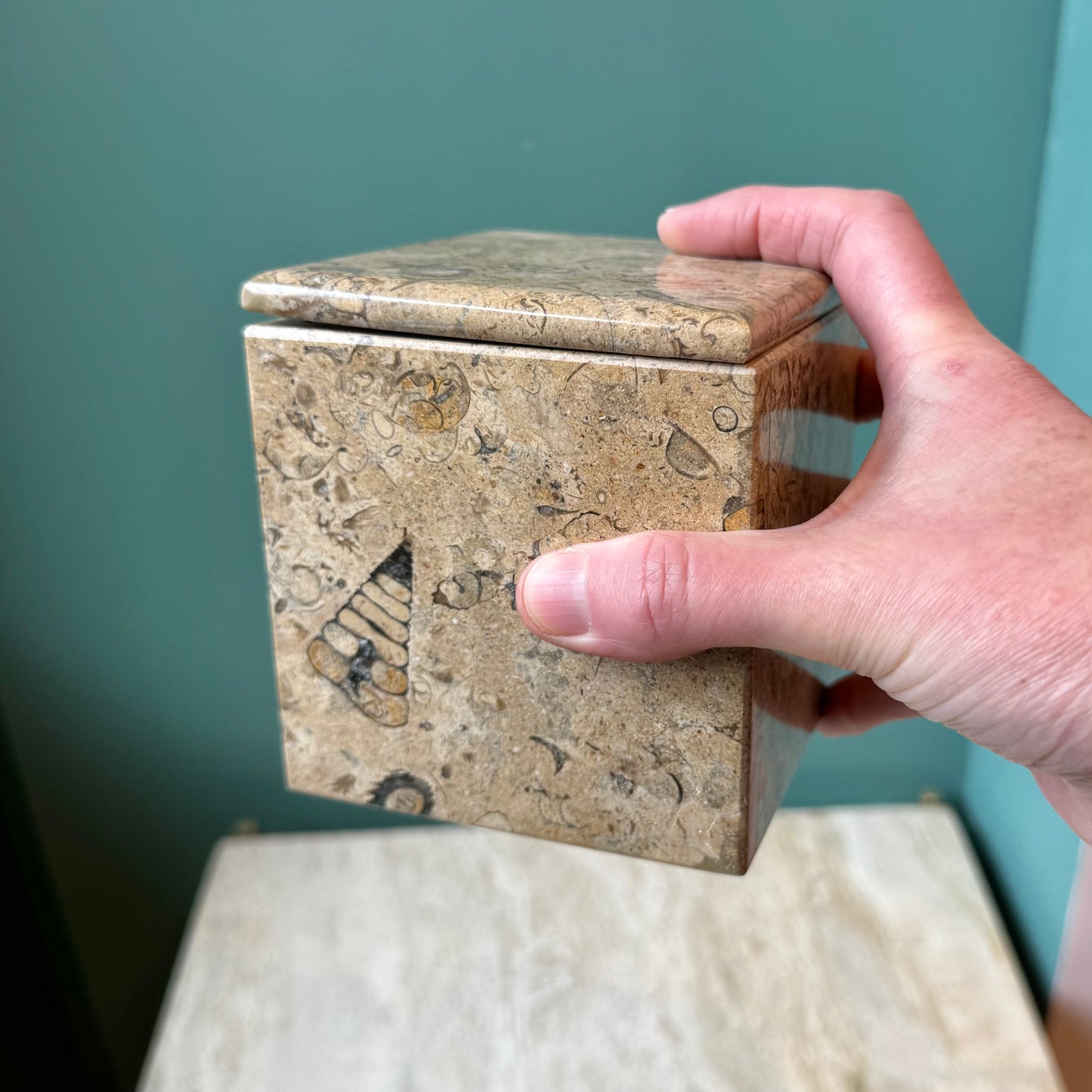 Vintage Fossil Stone Storage Box