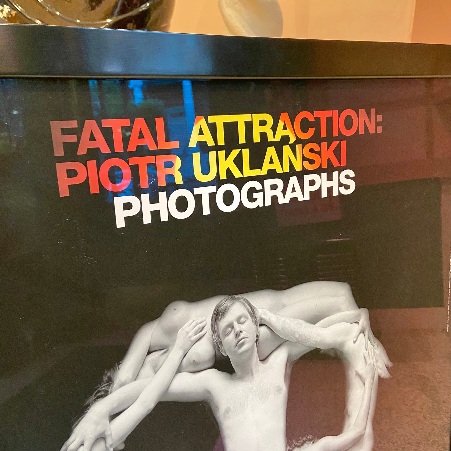 Framed Untitled (Skull) Fatal Attraction: Piotr Uklansi Photographs Platinum Print