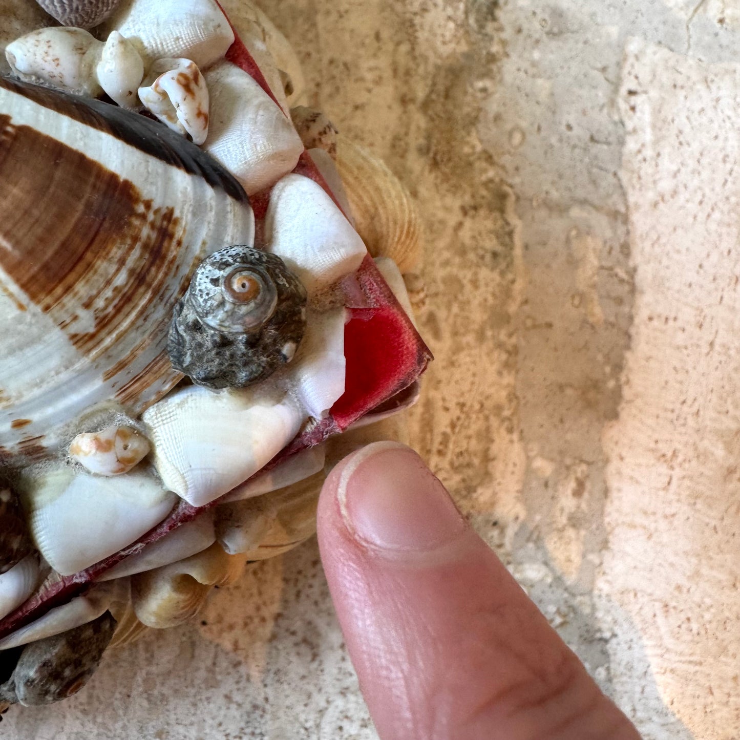 Vintage Shell Box