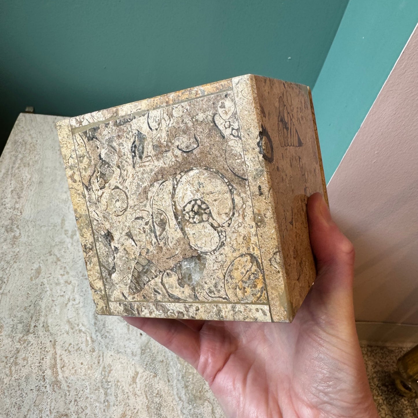 Vintage Fossil Stone Storage Box