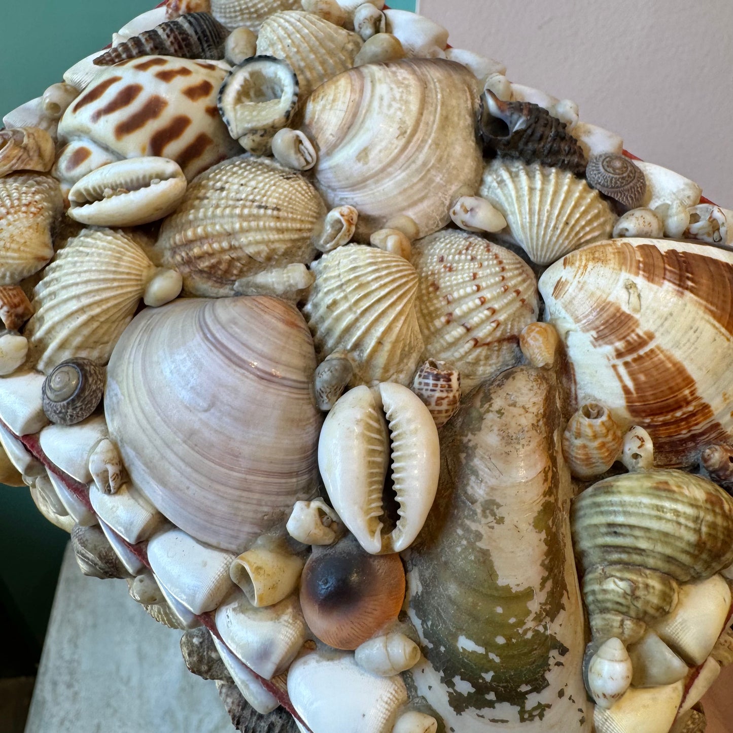 Vintage Shell Box