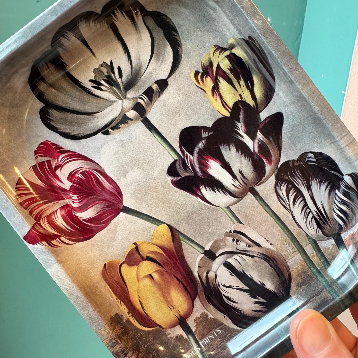 Metal Botanical Tulip Trinket Tray
