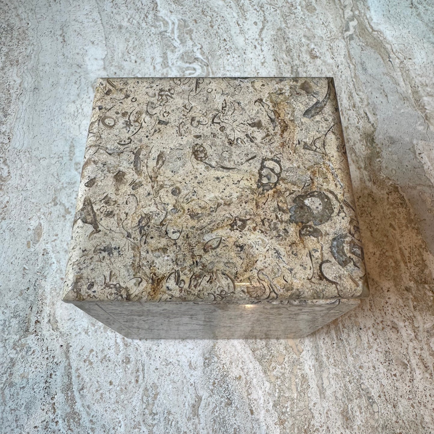 Vintage Fossil Stone Storage Box