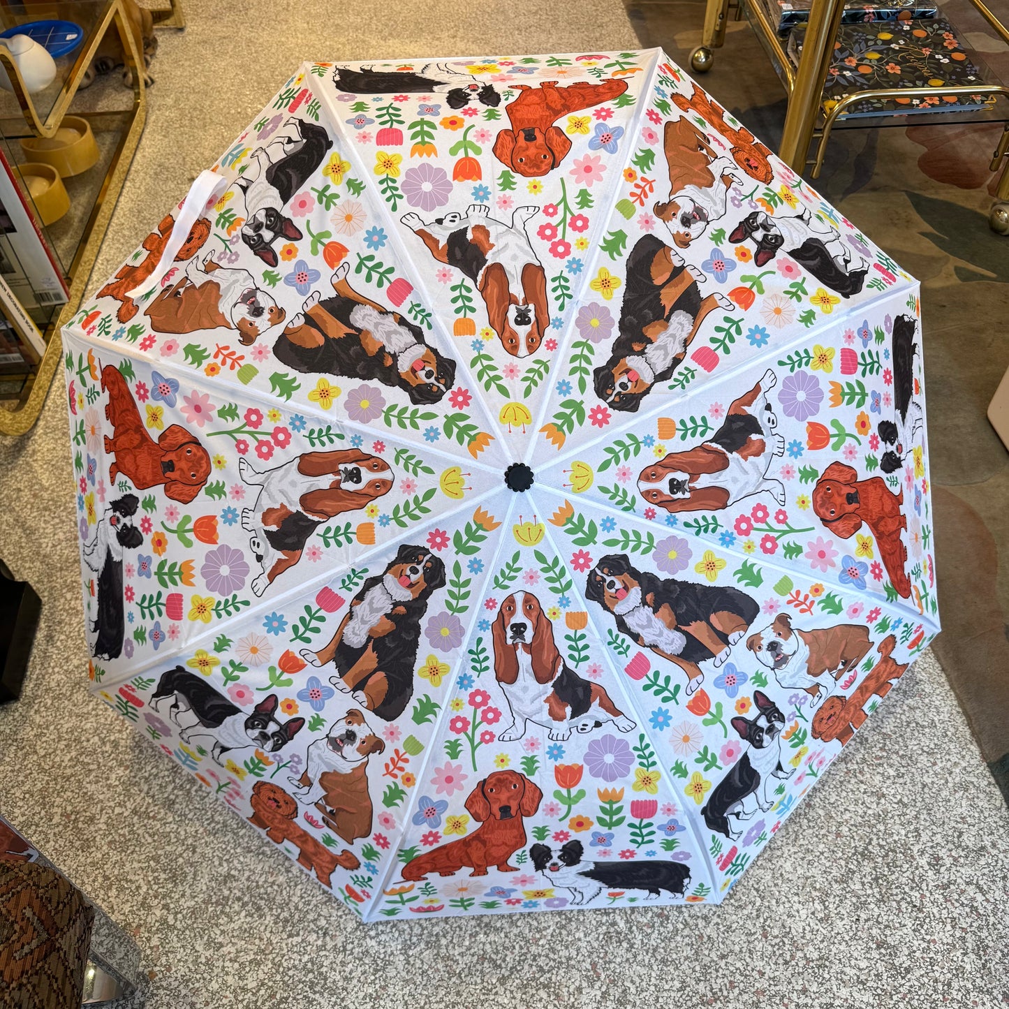 Spring Puppy Dogs Umbrella