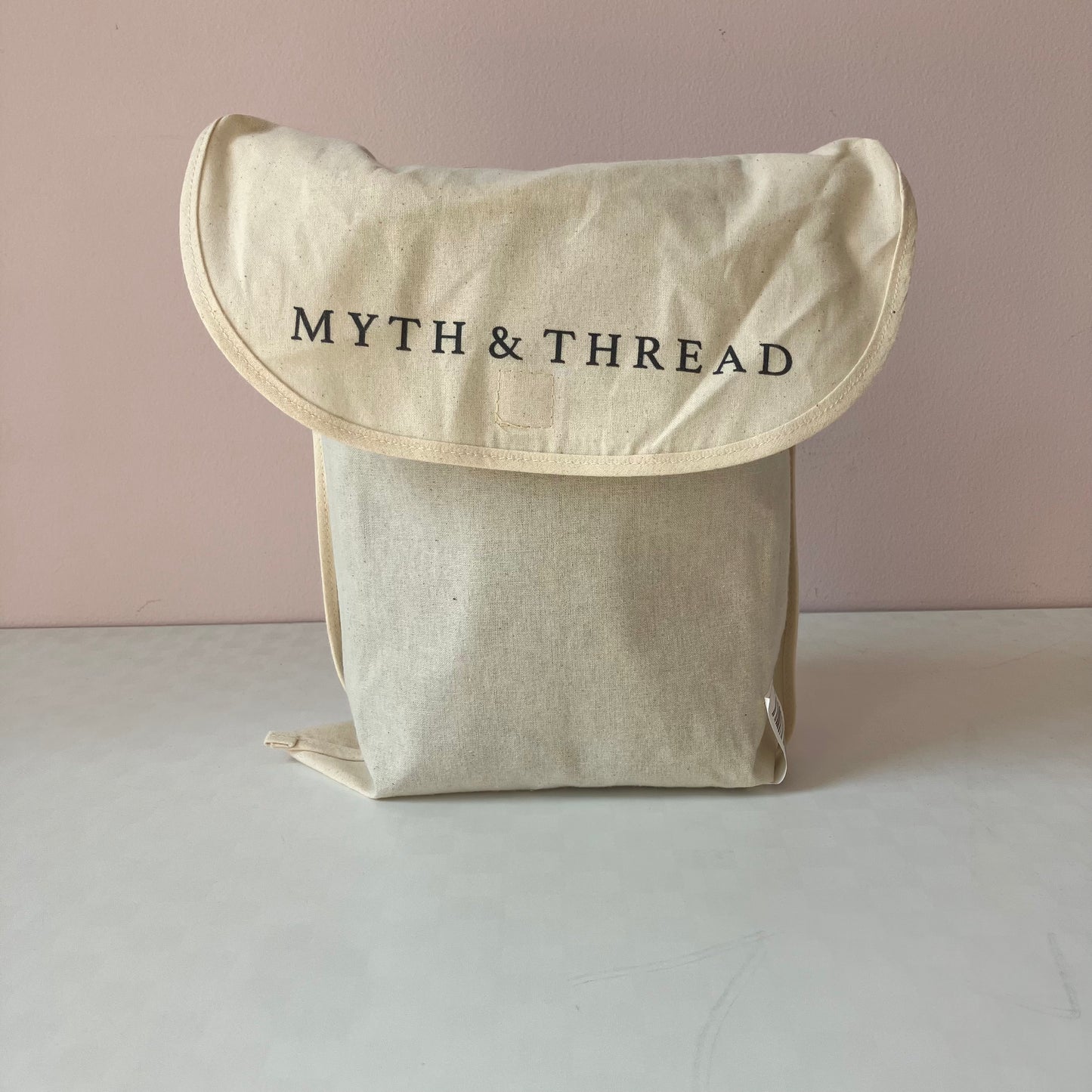 Velvet Embroidered Makeup Bag - Beetle