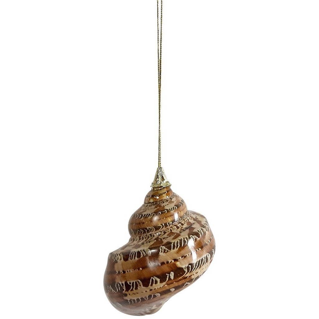 Medium Authentic Shell Ornament