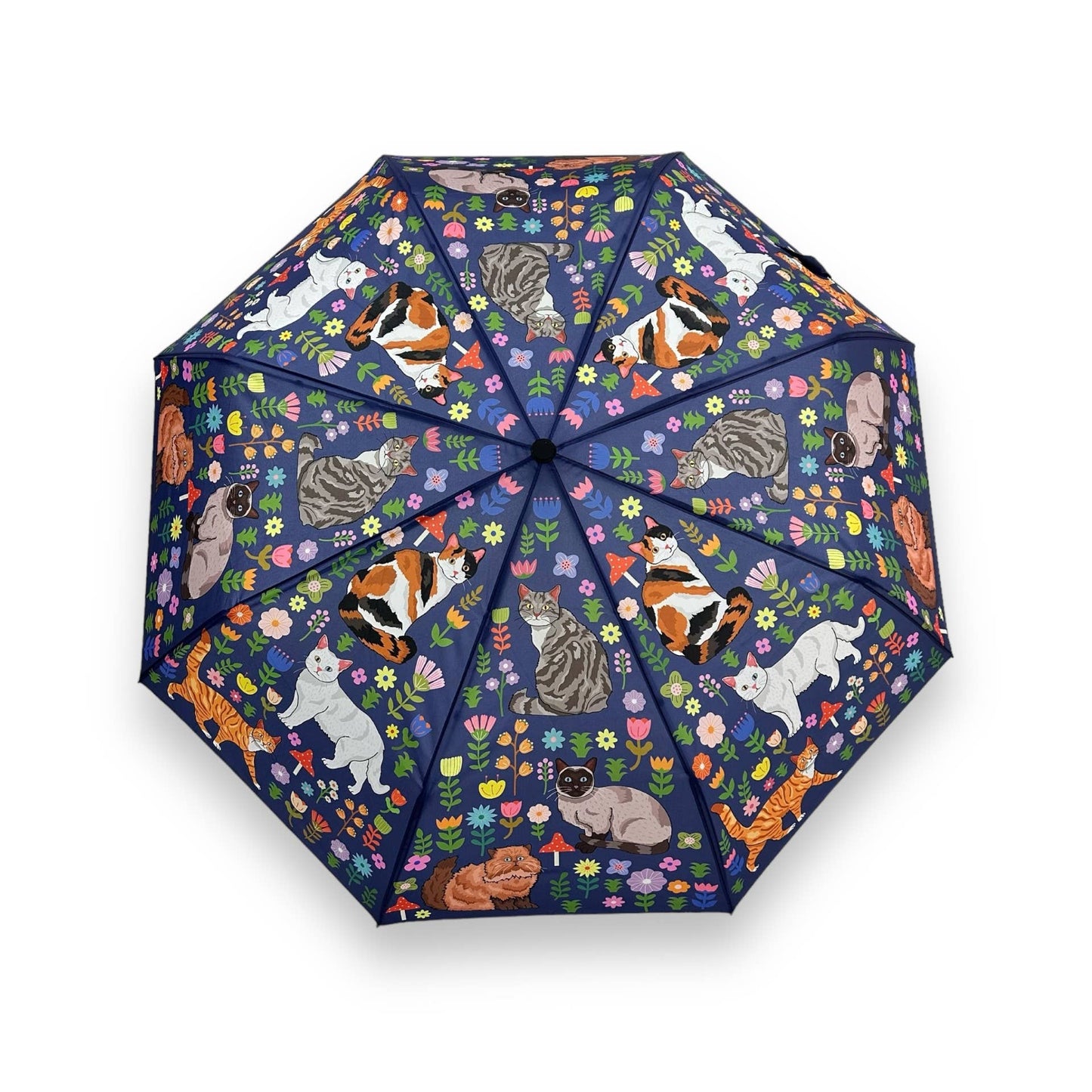 Spring Kitty Cats Umbrella