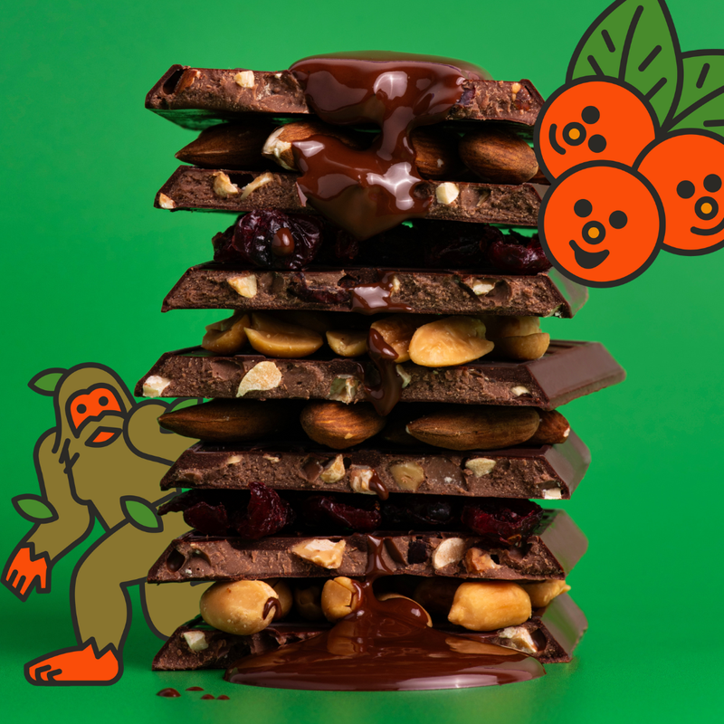 Nuts for Fruit (Double Chocolate Trail Mix) Truffle Bar