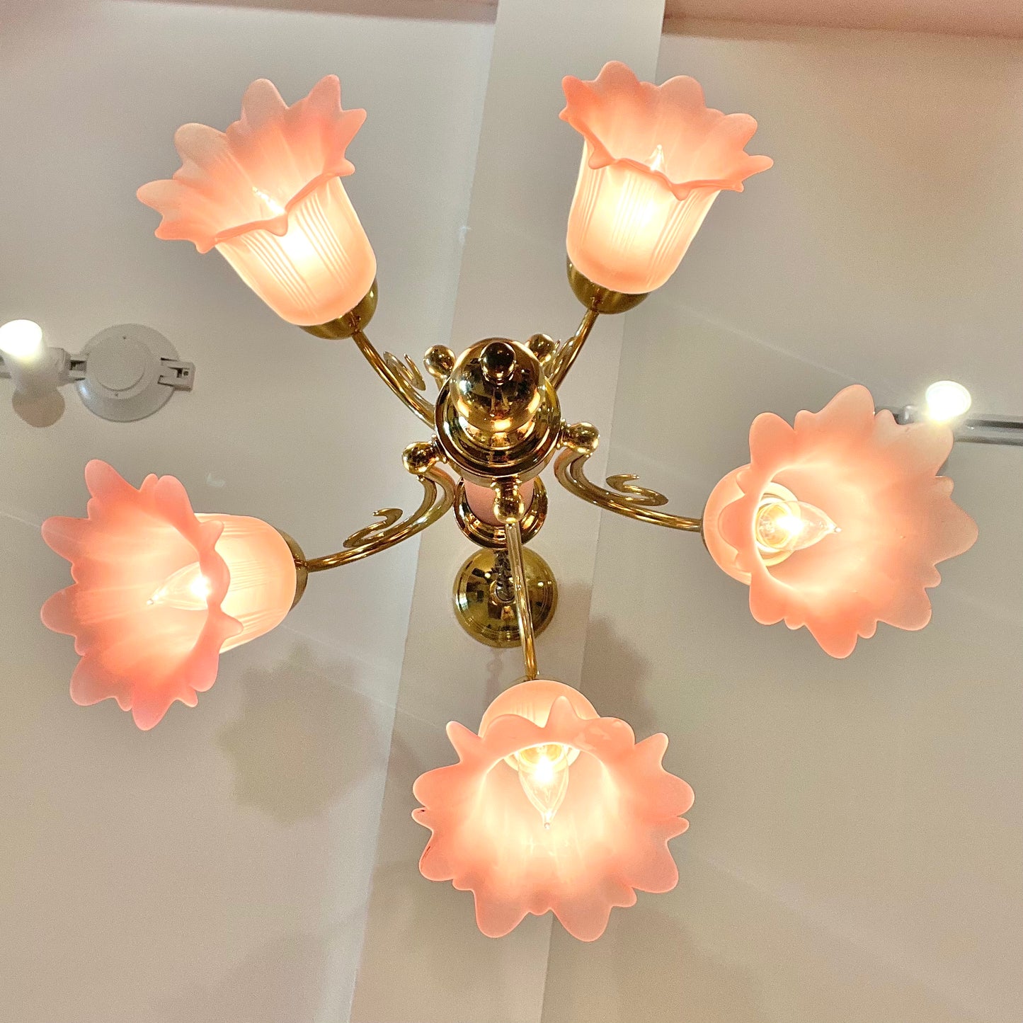 Vintage Pink Murano Glass Style Flower Shade Chandelier