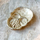 Vintage Cast Iron Skull Ashtray/Trinket Dish