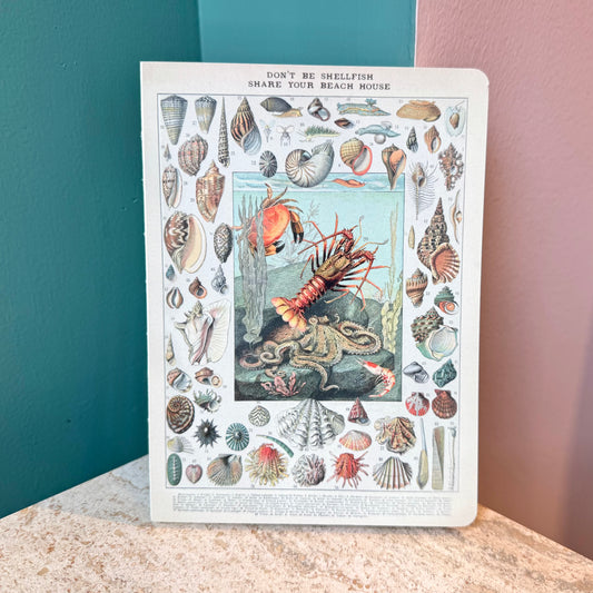 Don't Be Shellfish Journal Notebook