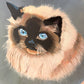 Vintage Original Circular Ragdoll Cat Portrait