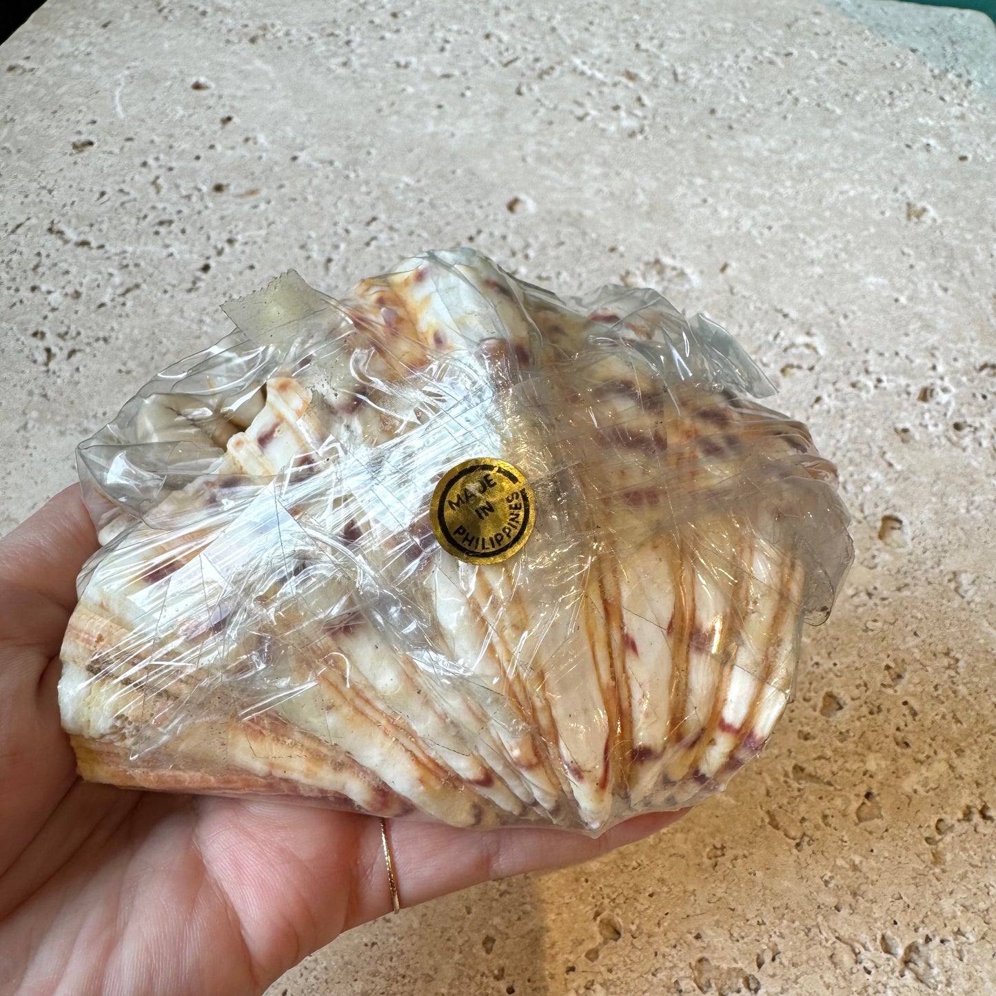 Vintage Seashell Cocktail Pick Set in Clam Shell Holder