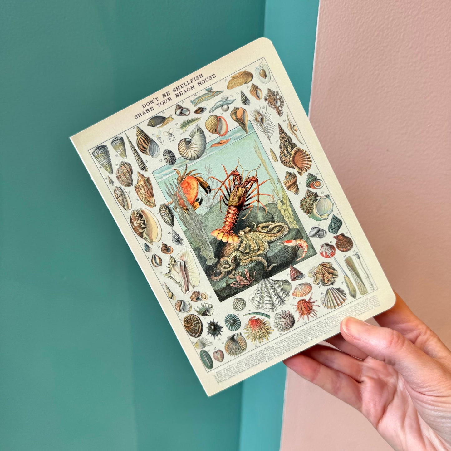 Don't Be Shellfish Journal Notebook