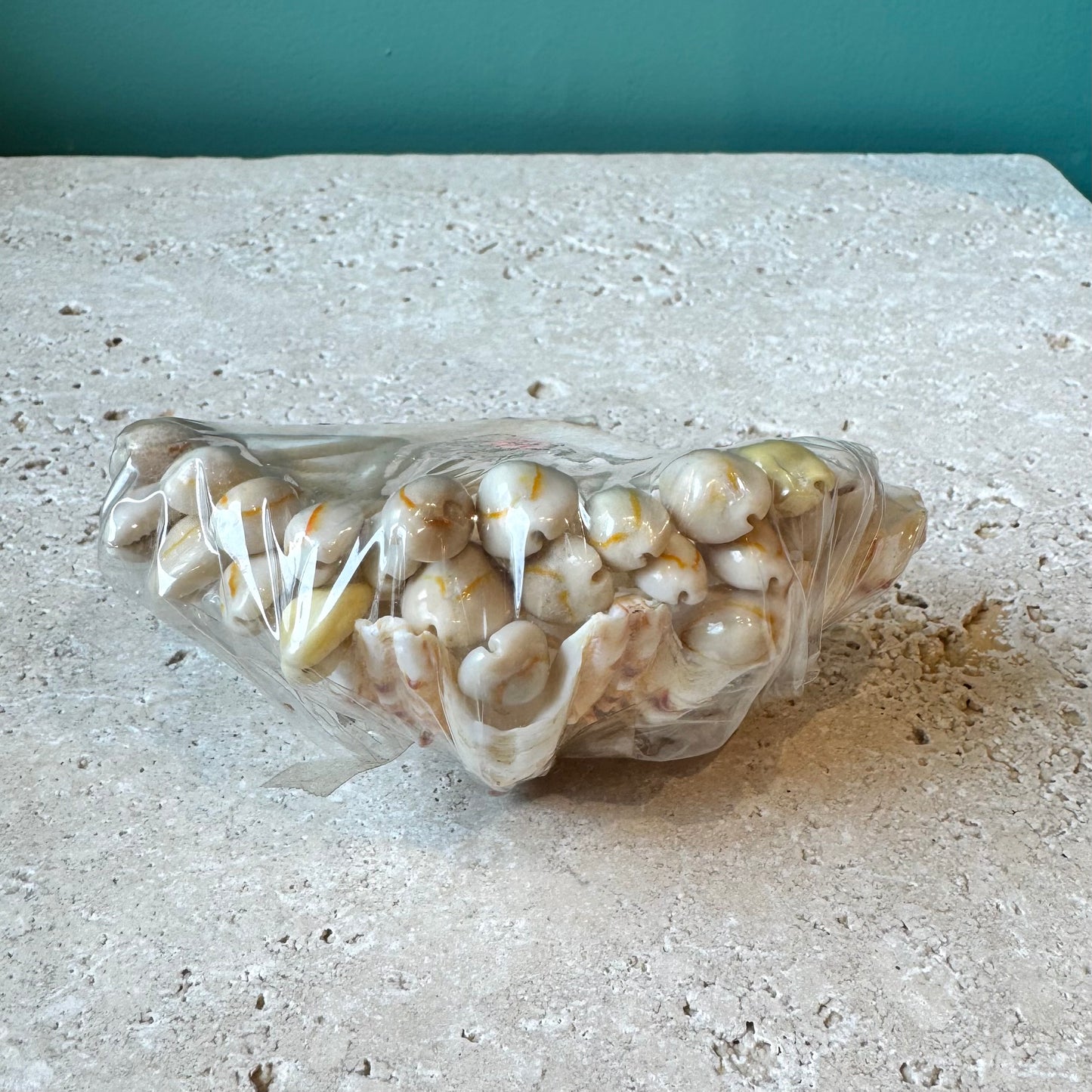 Vintage Seashell Cocktail Pick Set in Clam Shell Holder