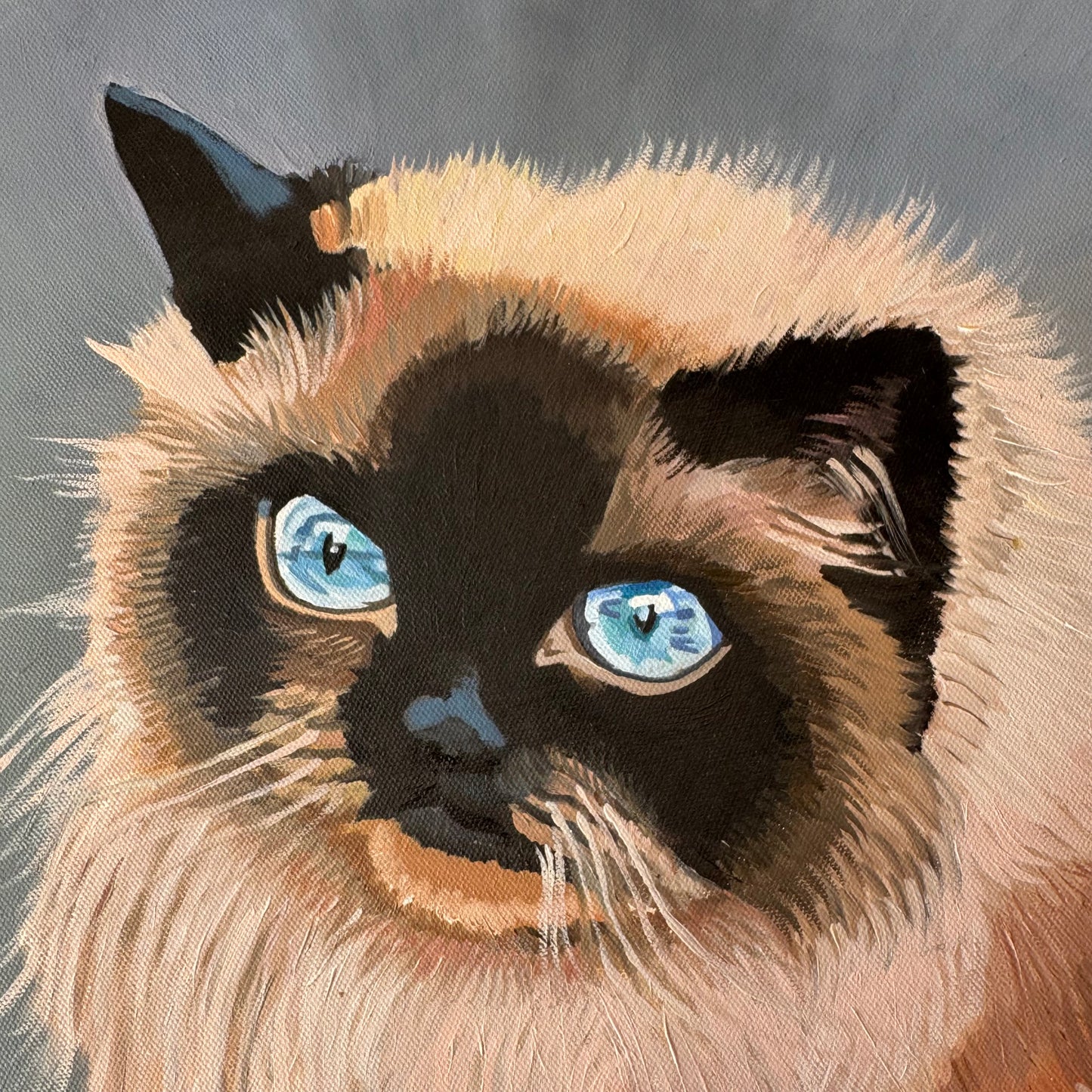Vintage Original Circular Ragdoll Cat Portrait