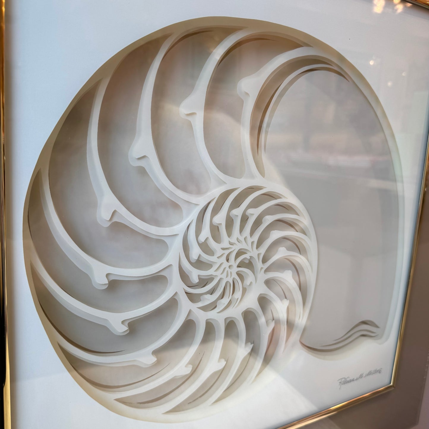 Vintage 1970's Framed 3D Paper Sculpture Shell Artwork by Rebecca Melville Miller for Greg Copeland