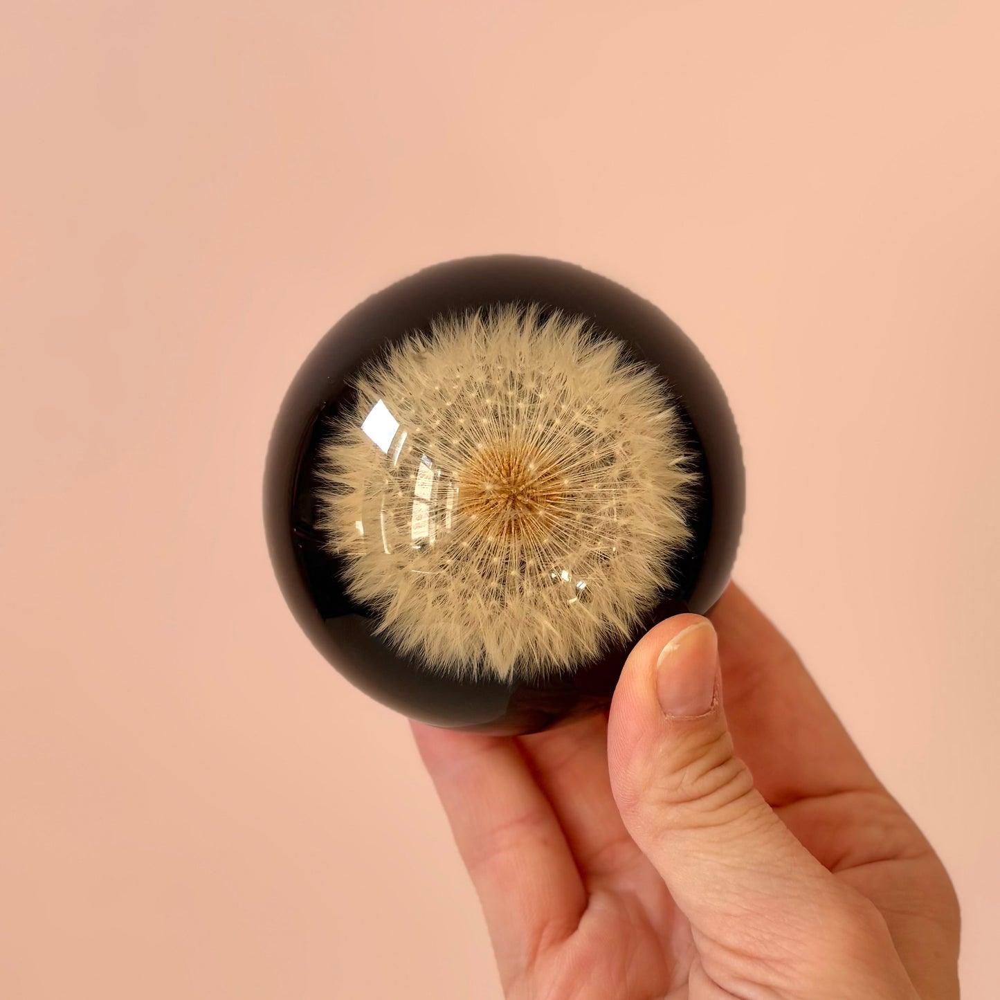 Vintage Lucite Dandelion Dome Paperweight
