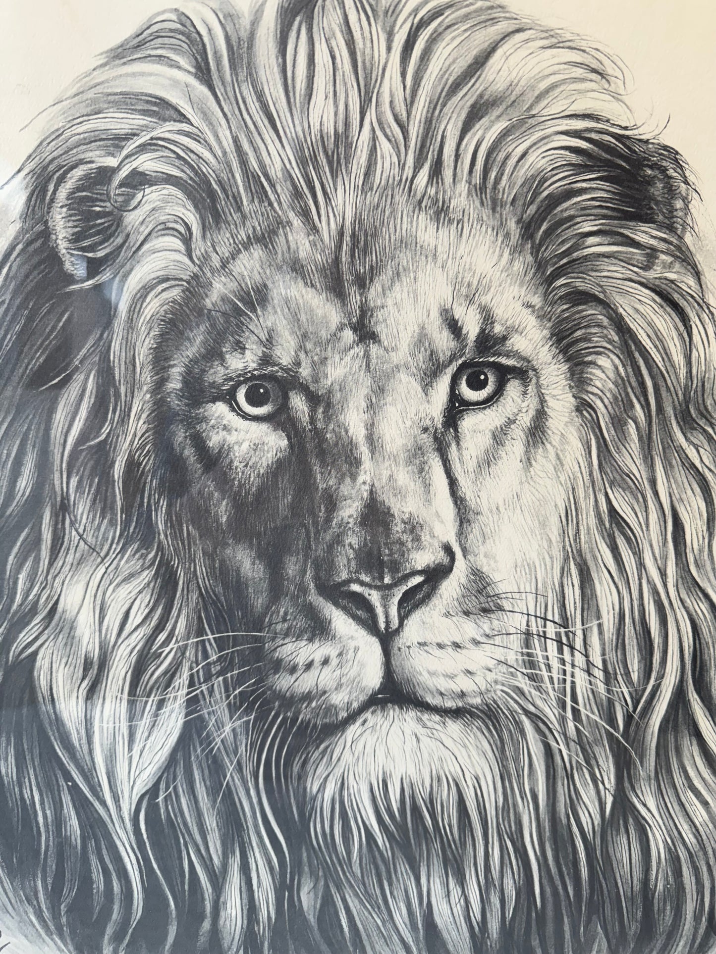 Vintage Framed Lion Artwork by Katon