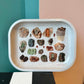 Small Metal Crystals and Minerals Tray