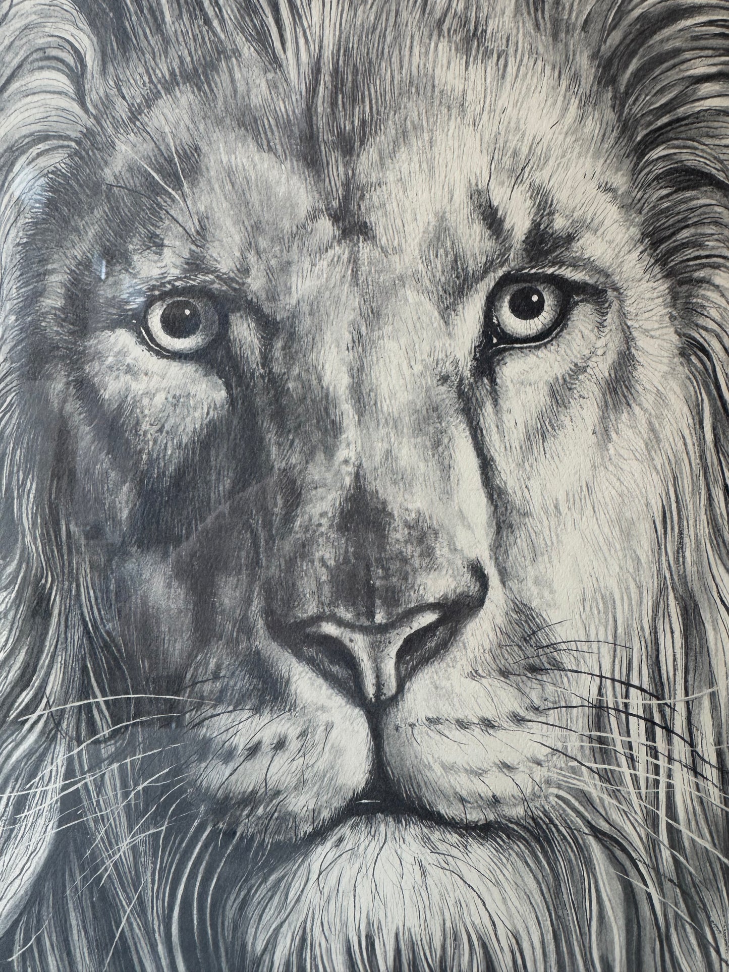 Vintage Framed Lion Artwork by Katon
