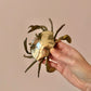 Vintage Brass Crab Ashtray