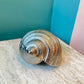 Vintage Cast Metal Seashell Paperweight