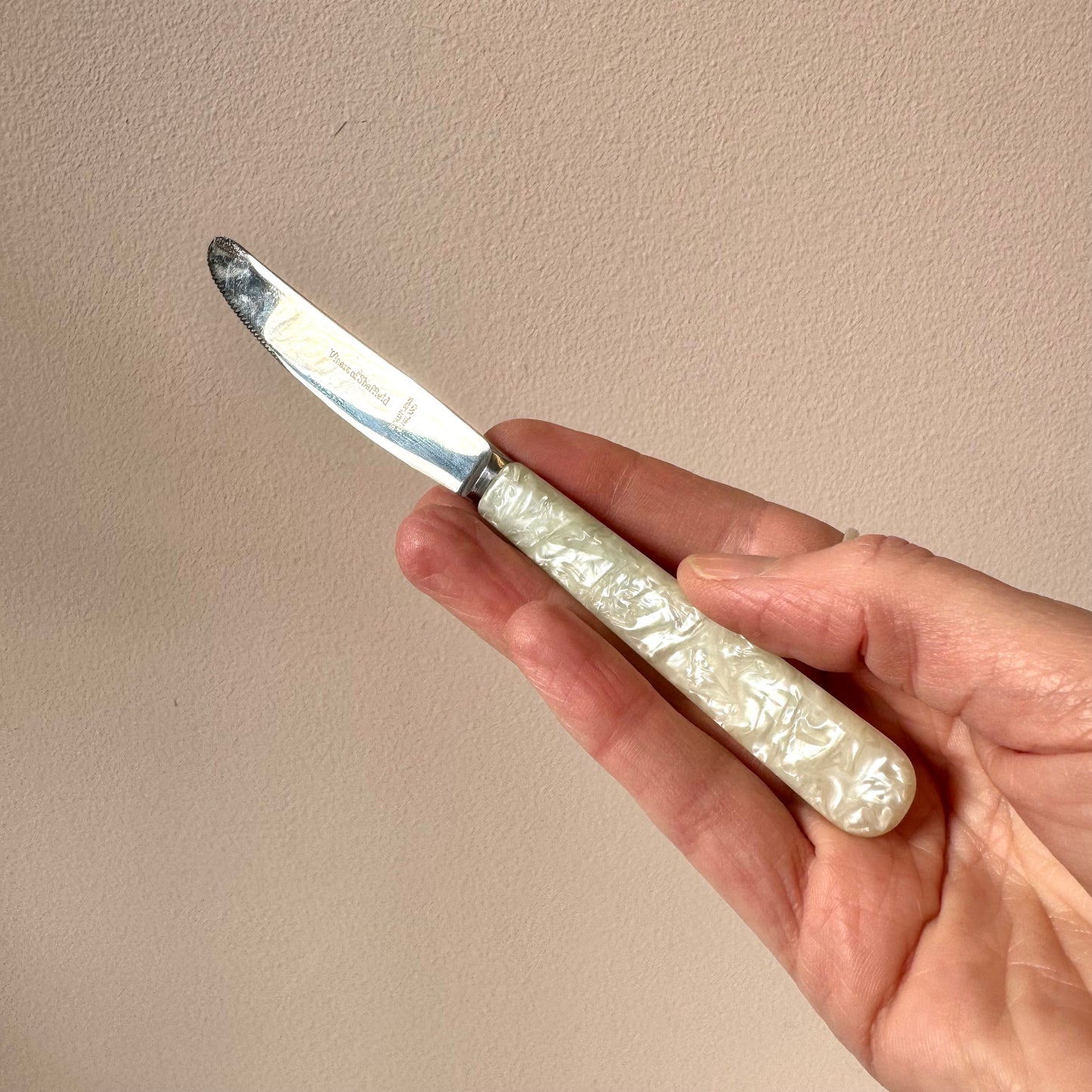 Vintage Art Deco Mother of Pearl Bakelite Fruit Knife Set