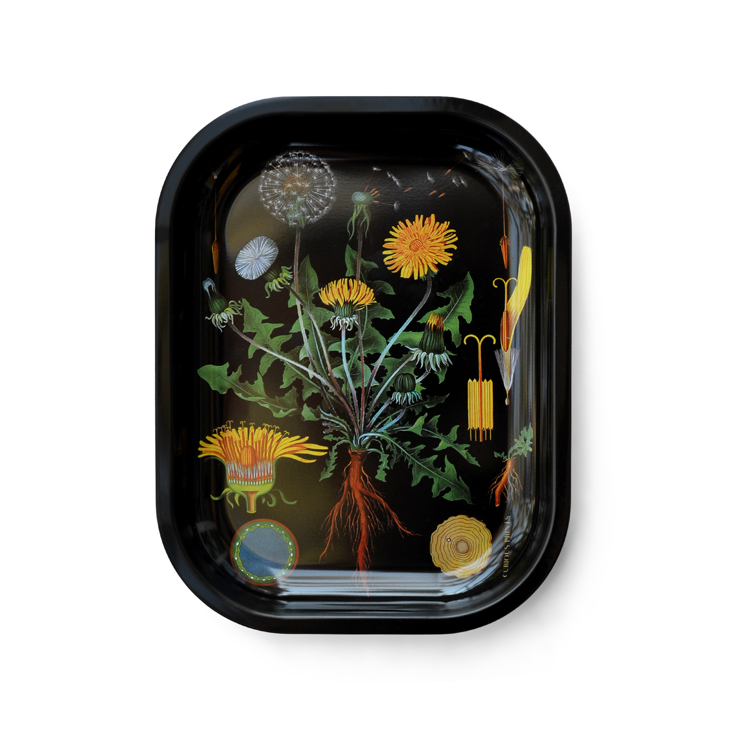 Small Metal Botanical Dandelion Trinket Tray