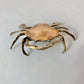 Vintage Brass Crab Ashtray