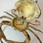 Vintage Brass Crab Ashtray