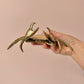Vintage Brass Crab Ashtray