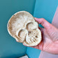Vintage Cast Iron Skull Ashtray/Trinket Dish