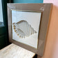 Vintage 1970's Framed 3D Paper Sculpture Shell Artwork by Rebecca Melville Miller for Greg Copeland