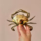 Vintage Brass Crab Ashtray