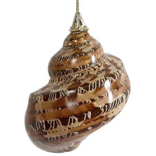 Medium Authentic Shell Ornament